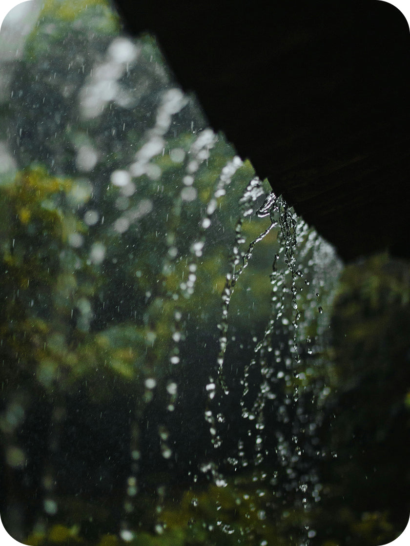Raindrops on a window with blurred greenery outside